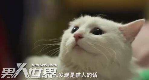 我爱喵星人在线观看,在线观看我爱喵星人的精彩瞬间