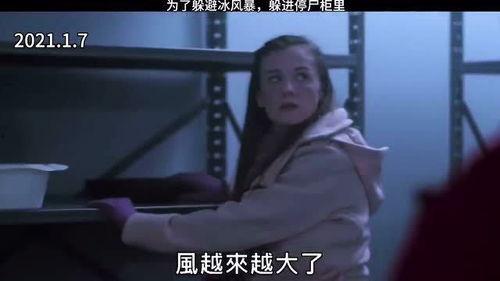 我的冰冻男友在线观看,跨越时空的浪漫邂逅